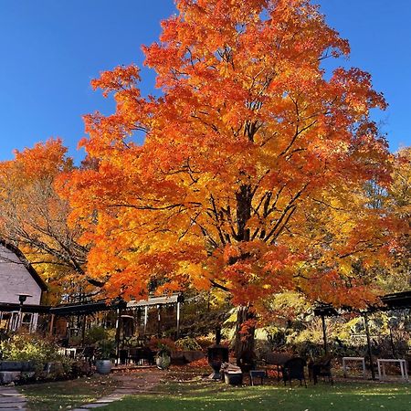 Domaine Jolivent Lac-Brome Exterior foto